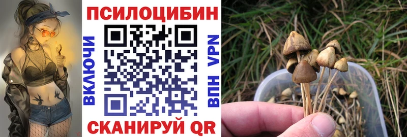 где продают наркотики  Мичуринск  Псилоцибиновые грибы MAGIC MUSHROOMS 