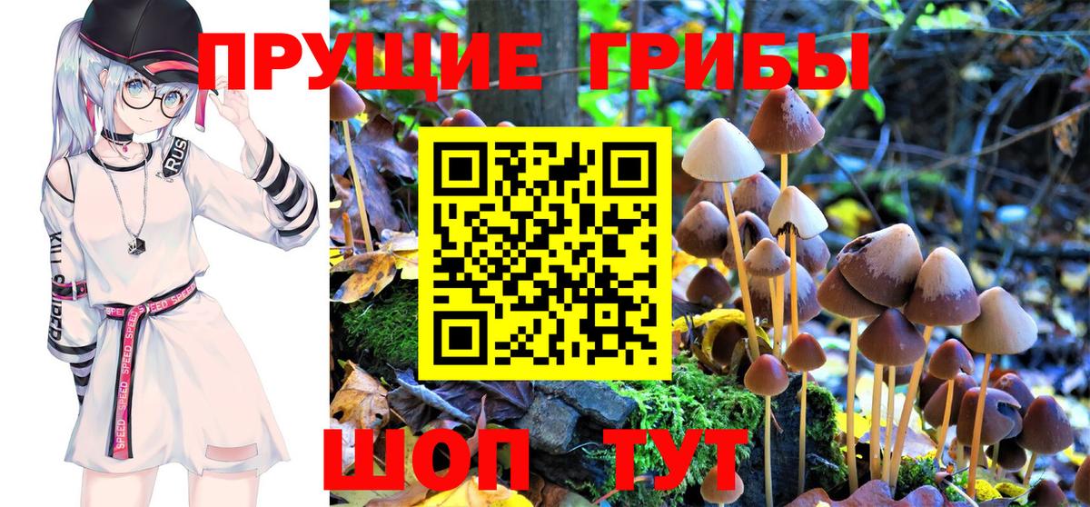 Мичуринск  Псилоцибиновые грибы GOLDEN TEACHER  Галлюциногенные грибы мицелий  Вход с VPN 