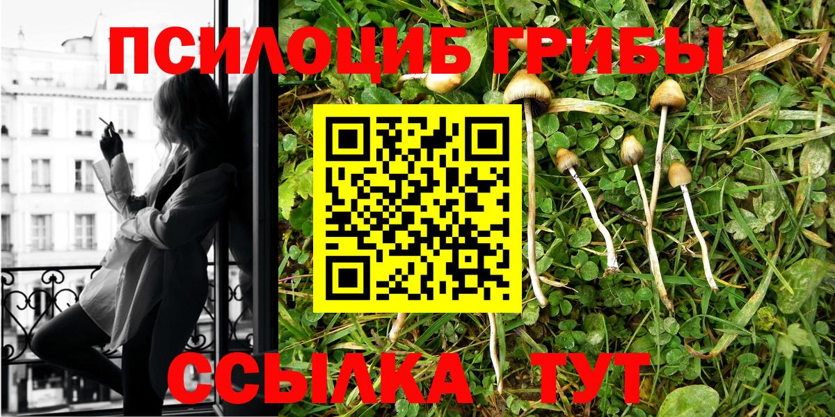 Галлюциногенные грибы мухоморы Мичуринск