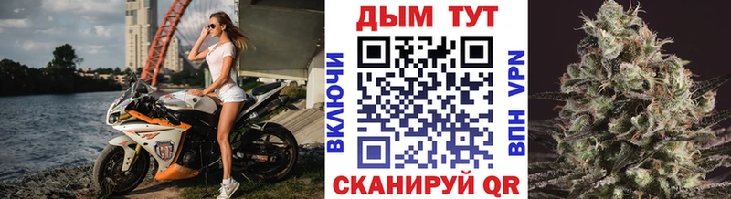 Марихуана гибрид  Мичуринск 